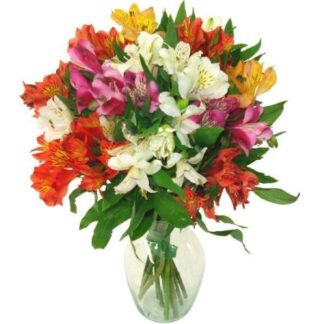 Buchet alstroemeria multicolore