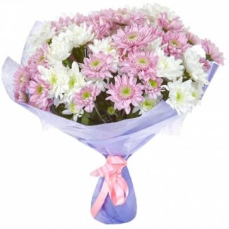 Buchet crizanteme albe si roz