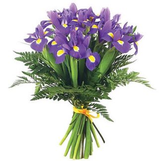 Buchet cu irisi si feriga