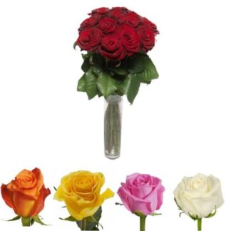 Buchet 13 trandafiri